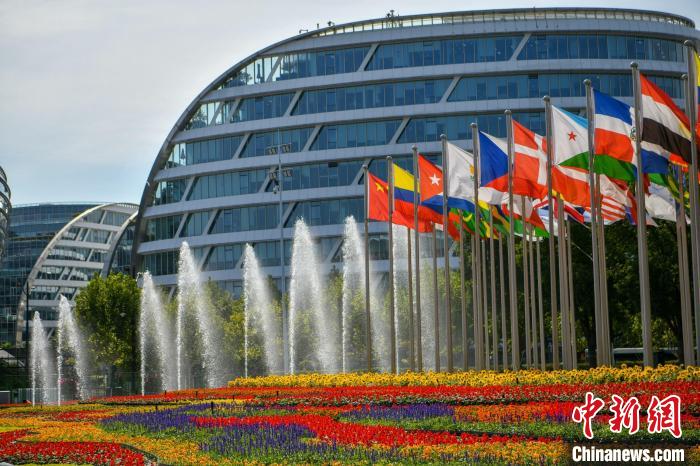 第五屆進博會場館景觀裝飾全面定妝?！￡悏魸?攝